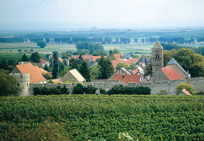 Weinlage Dalsheimer Bürgel